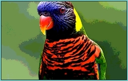 Picture